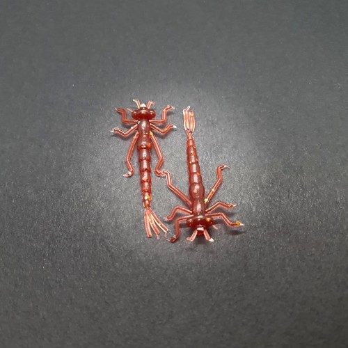 2025-11-30-19-59-34-923.jpg