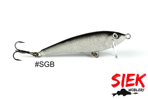 SGB.JPG